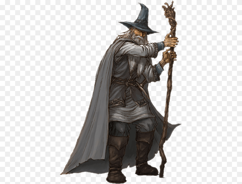 Liked Like Share Human Rpg Wizard, Adult, Bride, Female, Person Png