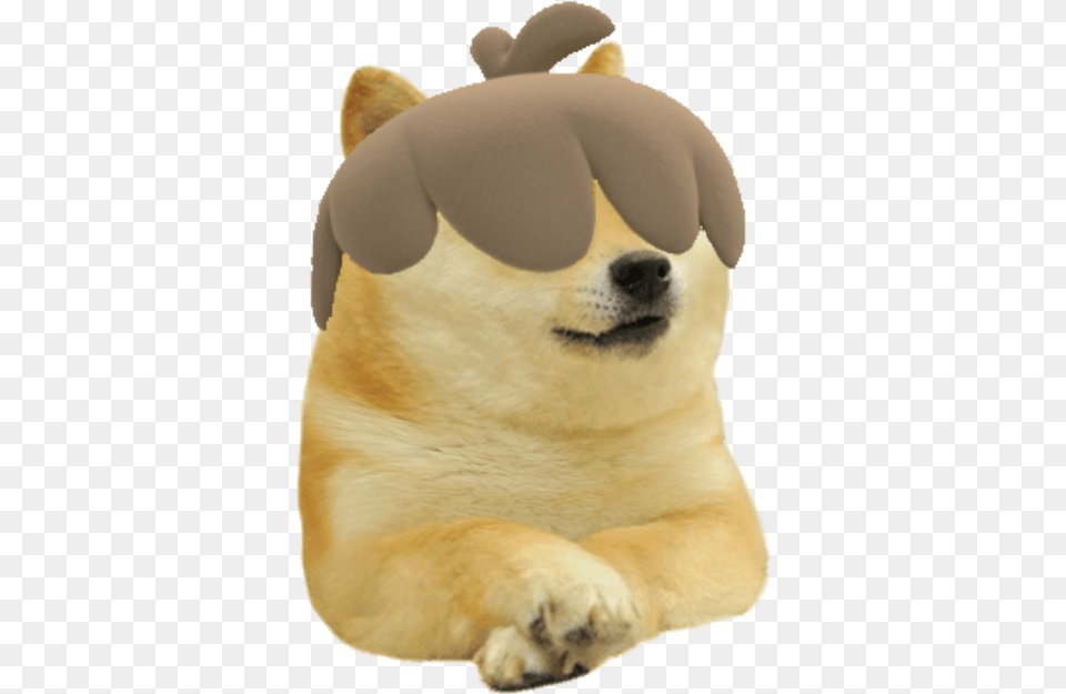 Lil Doge, Animal, Canine, Dog, Mammal Free Transparent Png