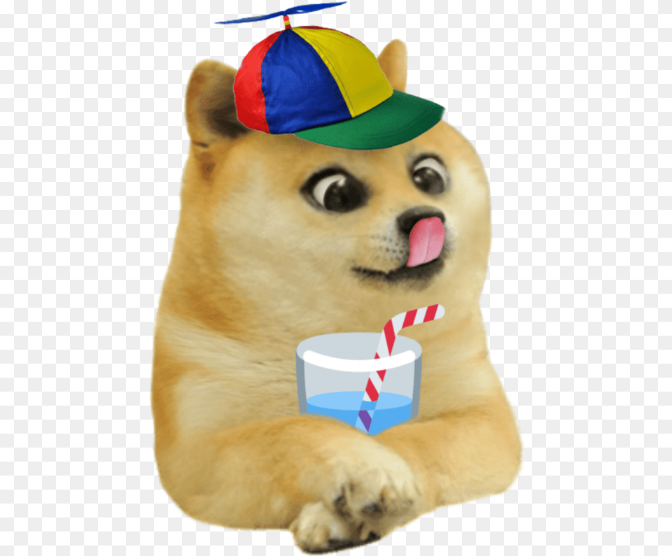 Lil Doge With His Water, Cap, Baseball Cap, Hat, Clothing Free Png Download