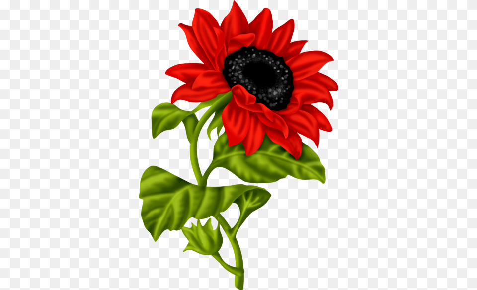 Lil Ladybug Yandex Disk Planter Ideas Ladybug, Flower, Plant, Sunflower, Daisy Free Png