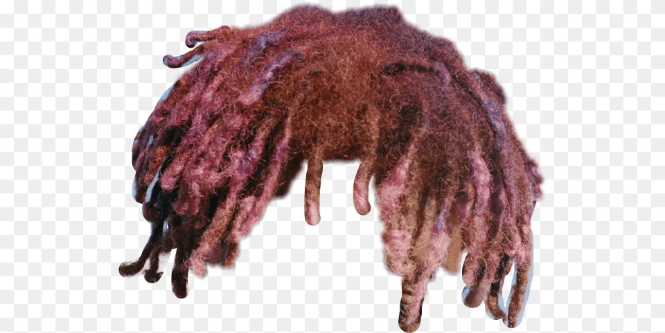 Lil Uzi Dreads Transparent Lil Uzi Vert Hair, Hardware, Electronics, Animal, Mammal Png