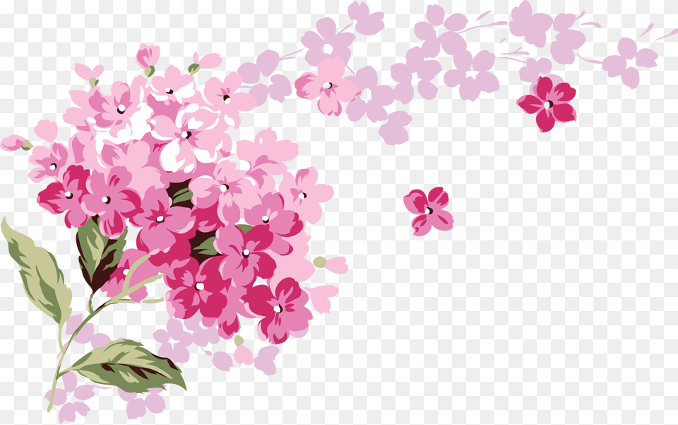 Lilac, Flower, Plant, Cherry Blossom Free Png Download