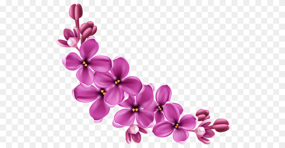 Lilac, Flower, Plant, Chandelier, Lamp Free Png