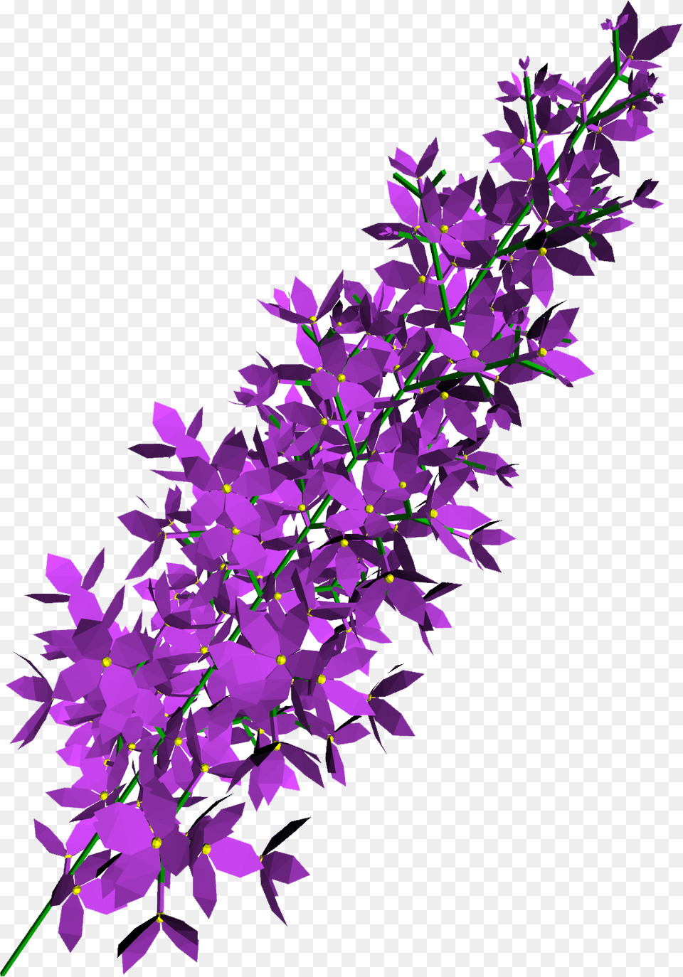 Lilac, Flower, Plant, Purple, Lavender Png Image