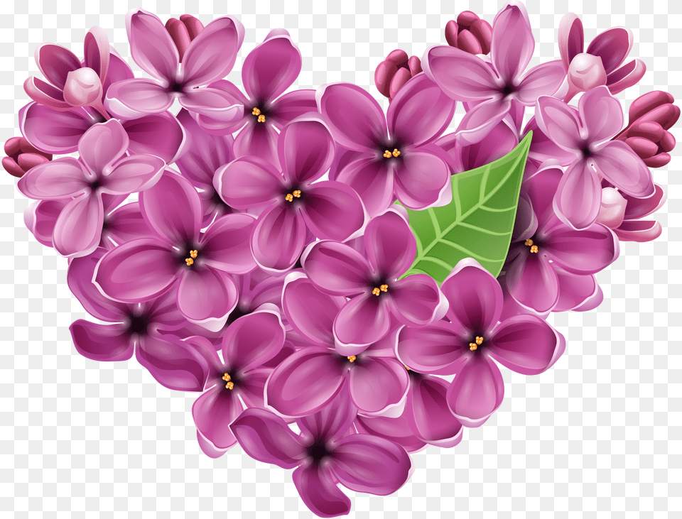 Lilac, Text Free Transparent Png