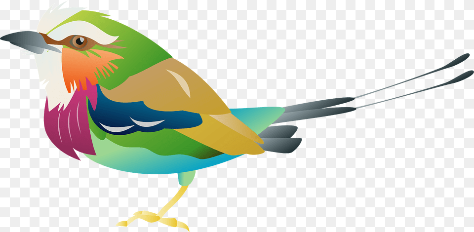 Lilac Breasted Roller Bird Clipart, Animal, Beak, Jay, Bee Eater Png