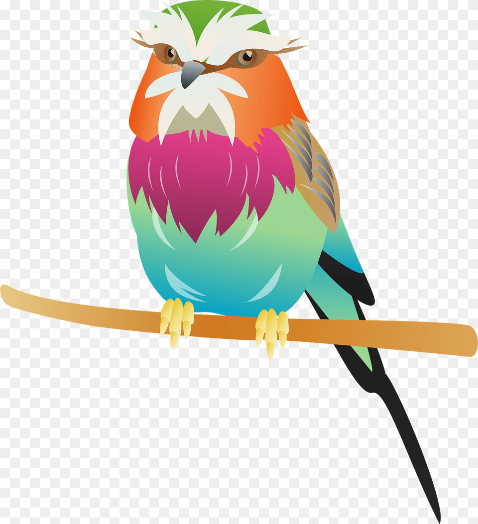 Lilac Breasted Roller Bird Clipart, Animal, Beak, Jay, Finch Free Png