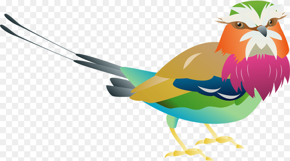 Lilac Breasted Roller Bird Clipart, Animal, Beak, Jay, Bee Eater Png Image