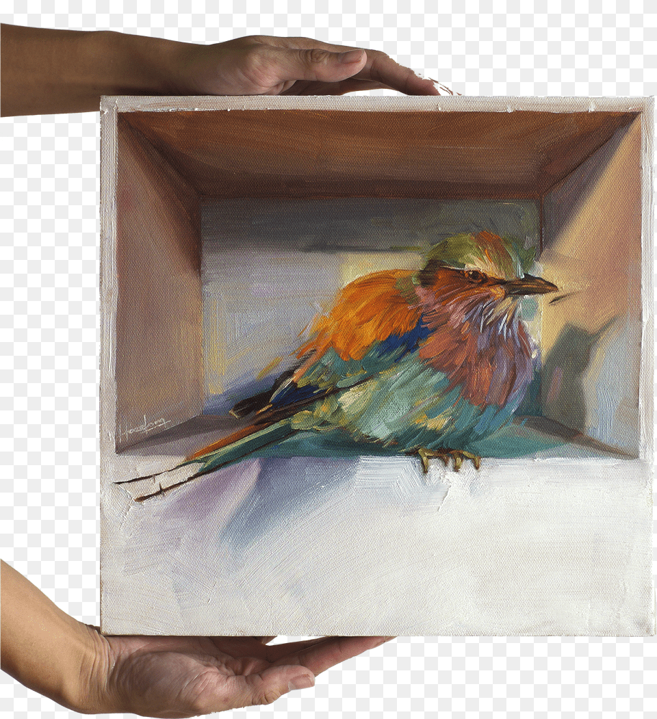 Lilac Breasted Roller In A Box Macaw, Logo Free Transparent Png