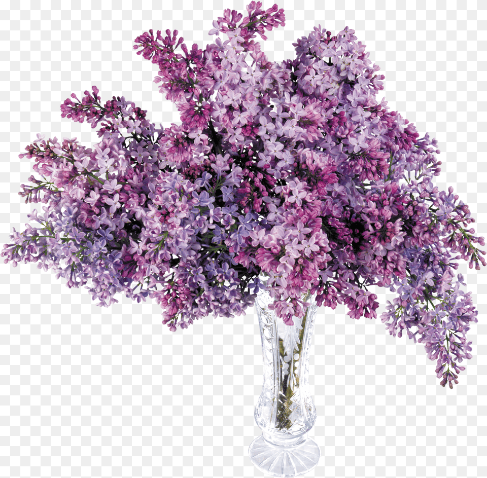 Lilac Flower Transparent U0026 Clipart Ywd Bouquet Of Lilacs Clipart Free Png