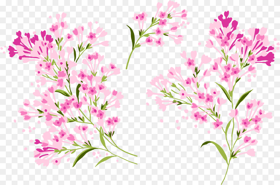 Lilac Gilliflower, Art, Floral Design, Flower, Graphics Png Image