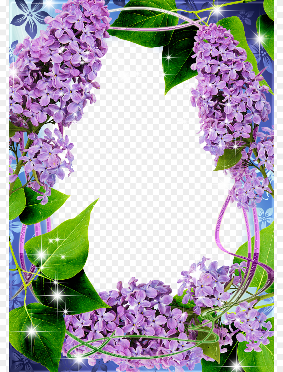 Lilacs Frame, Flower, Plant, Purple, Lilac Png Image