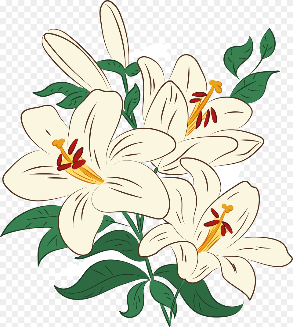 Lilies Clipart, Flower, Plant, Anther, Lily Free Png Download