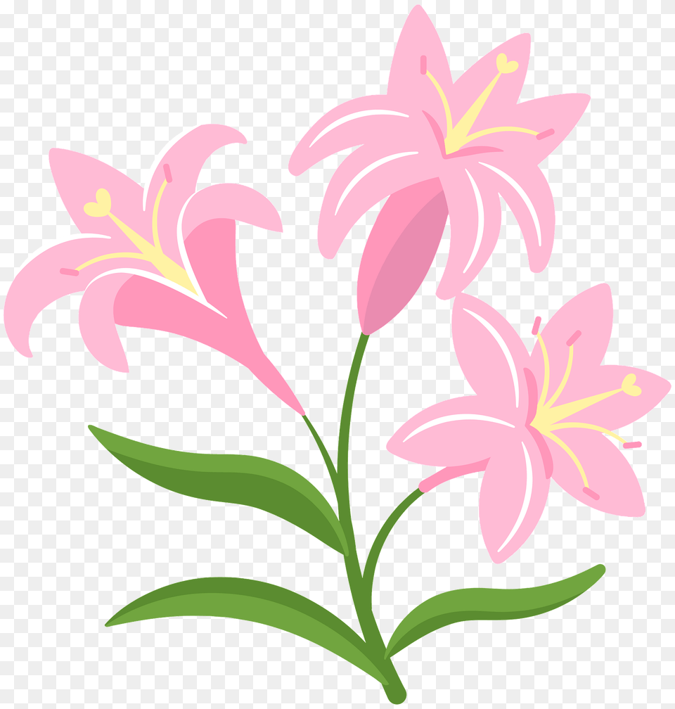 Lilies Clipart, Flower, Plant, Lily Free Transparent Png