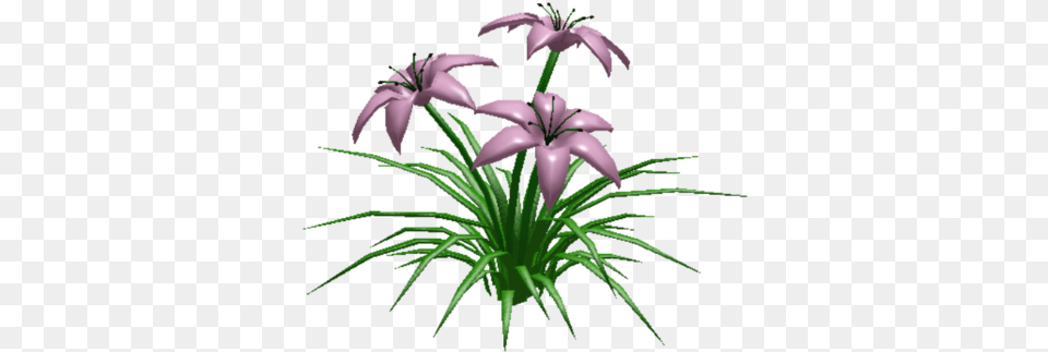 Lilies Welcome To Bloxburg Wikia Fandom, Flower, Plant, Anther, Lily Free Transparent Png