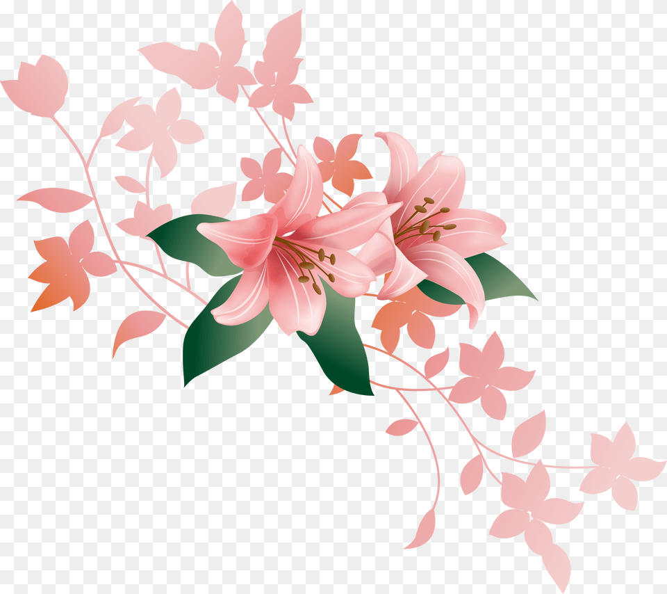 Lilium, Flower, Plant Free Transparent Png