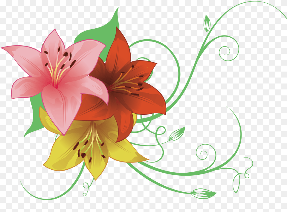Lilium, Art, Floral Design, Flower, Graphics Free Transparent Png