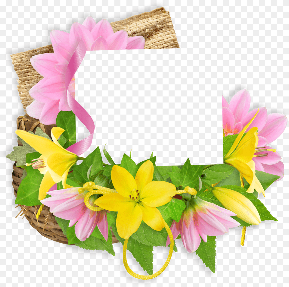 Lilium, Flower, Flower Arrangement, Plant, Accessories Free Png