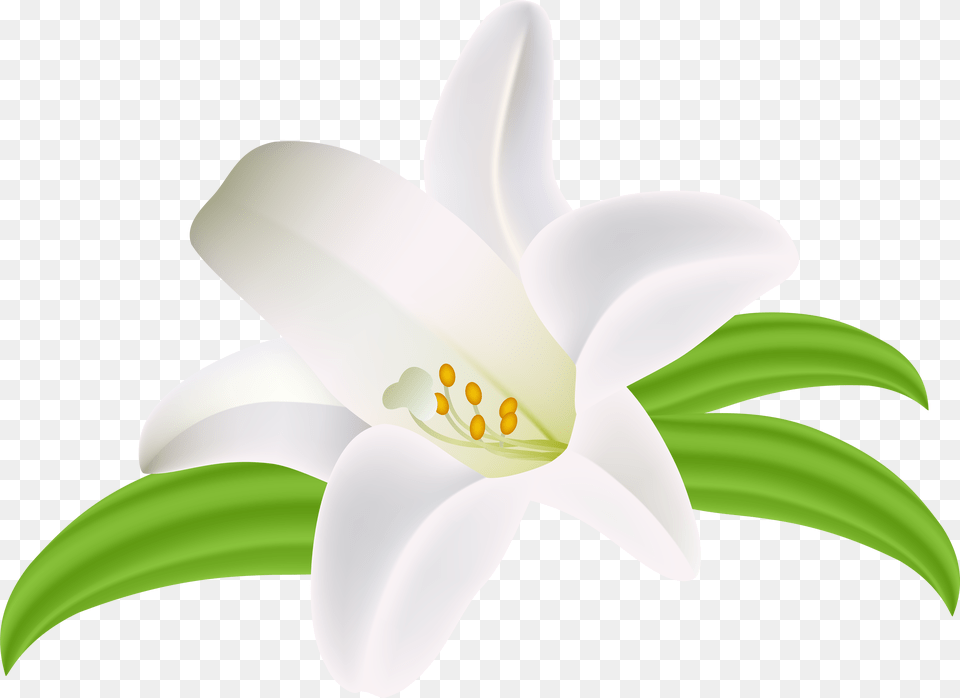 Lilium Flower Clipart Image Patrones De Bordado Portable Network Graphics, Lily, Plant, Anther, Appliance Free Transparent Png