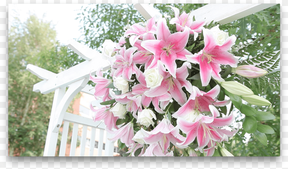 Lillies On An Arch Lily, Flower, Flower Arrangement, Flower Bouquet, Petal Free Transparent Png