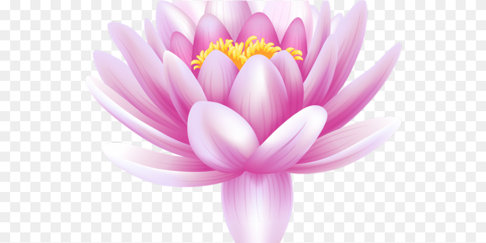 Lilly Pad Clipart Wallpaper Blink Draw Flowers Lotus Good Morning Cards In Hindi, Dahlia, Flower, Petal, Plant Png