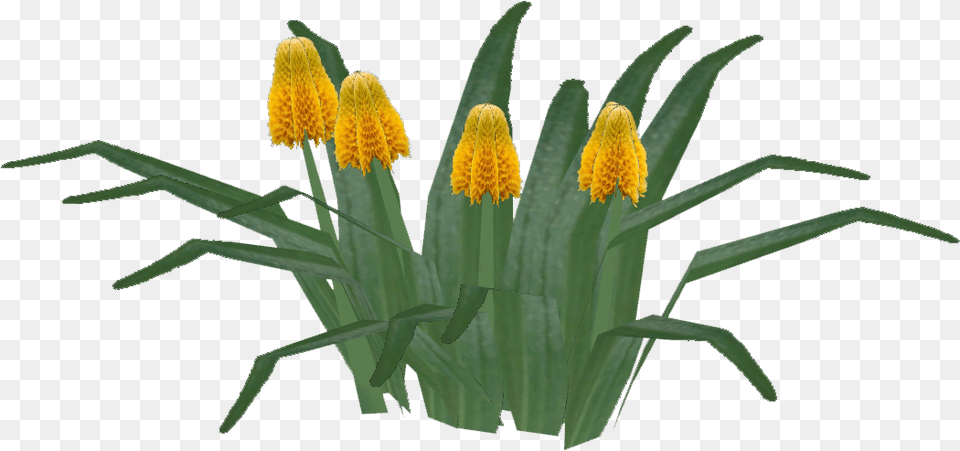 Lily, Anther, Flower, Plant, Pollen Free Transparent Png