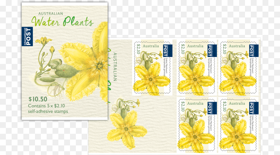 Lily, Flower, Plant, Postage Stamp, Text Free Png