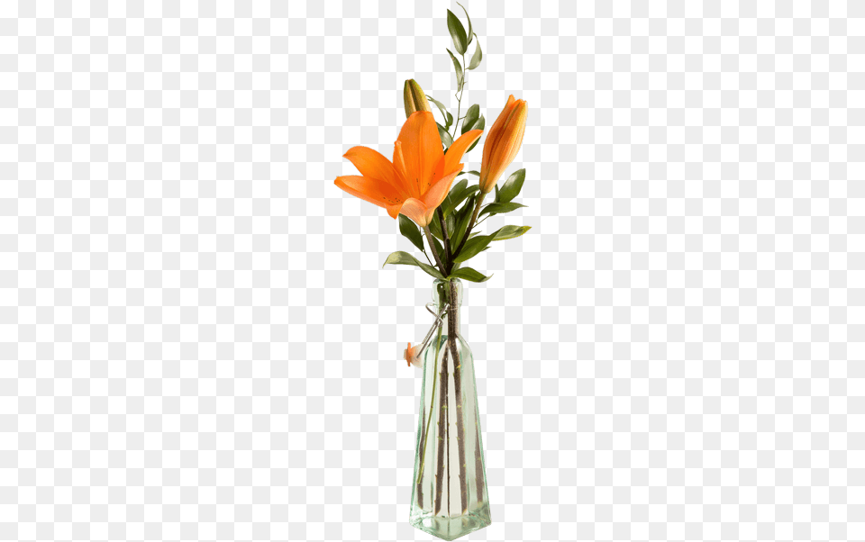 Lily Bottle Flower Bottle, Flower Arrangement, Flower Bouquet, Jar, Plant Free Transparent Png