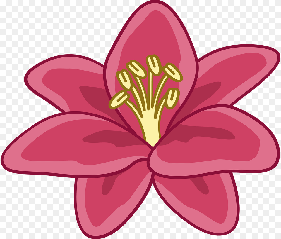 Lily Clipart, Anther, Flower, Plant, Petal Free Png