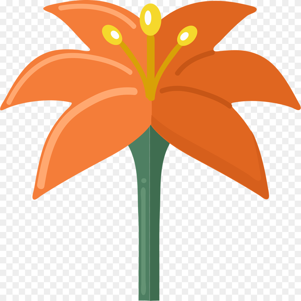 Lily Clipart, Flower, Plant, Petal, Anther Free Transparent Png