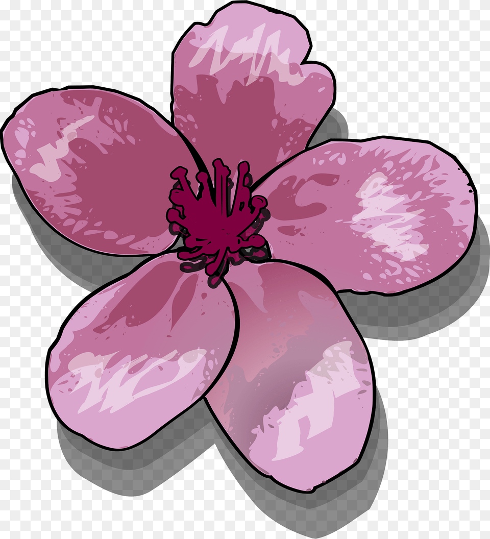 Lily Clipart, Flower, Petal, Plant, Geranium Free Transparent Png