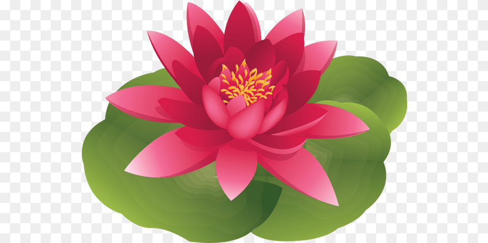 Lily Clipart Animated Water Lily Flower Cartoon, Dahlia, Plant, Petal, Pond Lily Free Png Download