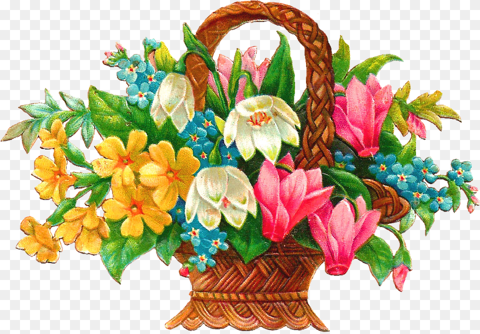 Lily Clipart Flower Bokeh Transparent Flower Basket Clipart Free, Plant, Pattern, Flower Bouquet, Flower Arrangement Png Image