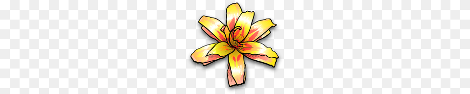 Lily Clipart L Ly Icons, Flower, Petal, Plant, Anther Png
