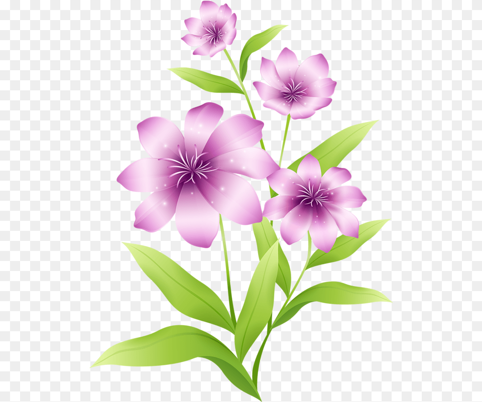 Lily Clipart Light Purple Flower Picture Light Violet Flowers Clipart, Geranium, Plant, Petal Free Png