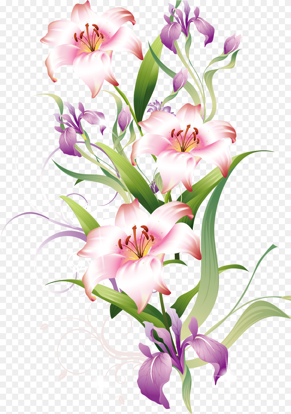 Lily Clipart Lilium Lily, Art, Floral Design, Flower, Graphics Png