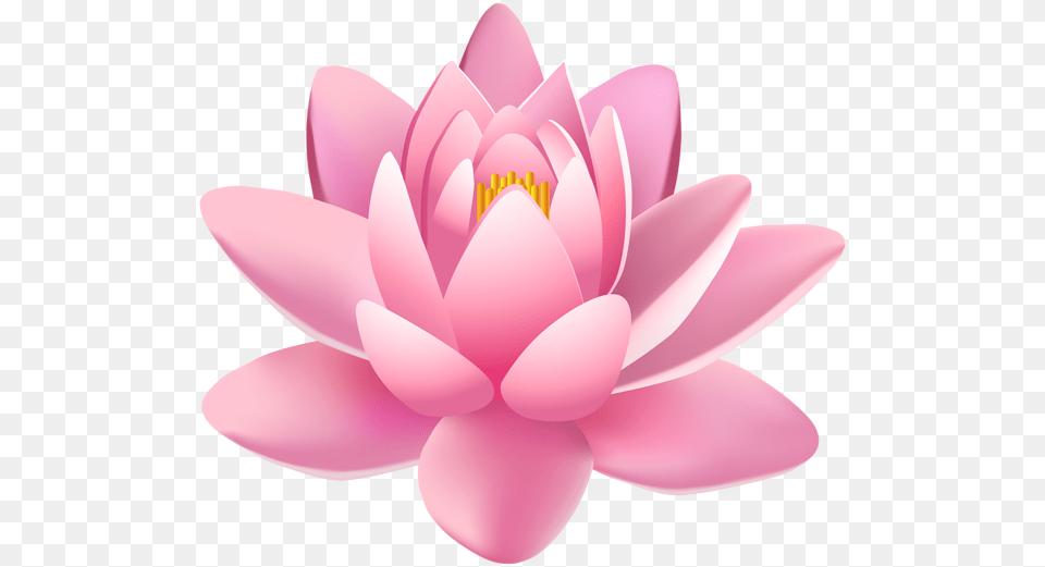 Lily Clipart Pink Lily Transparent Background Lotus Flower, Dahlia, Plant, Petal, Pond Lily Free Png Download