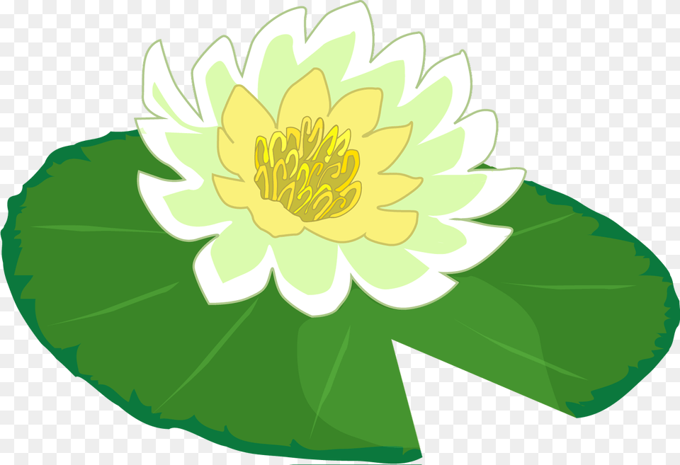 Lily Clipart Transparent Background Lily Pad, Anther, Dahlia, Flower, Plant Free Png Download