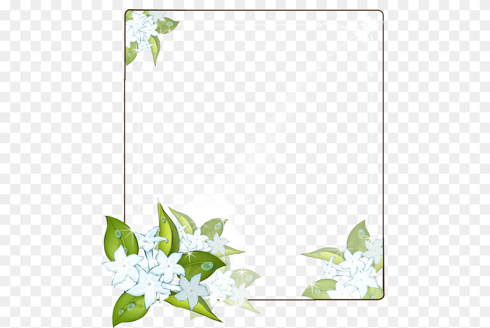 Lily Family, Art, Pattern, Floral Design, Graphics Free Transparent Png