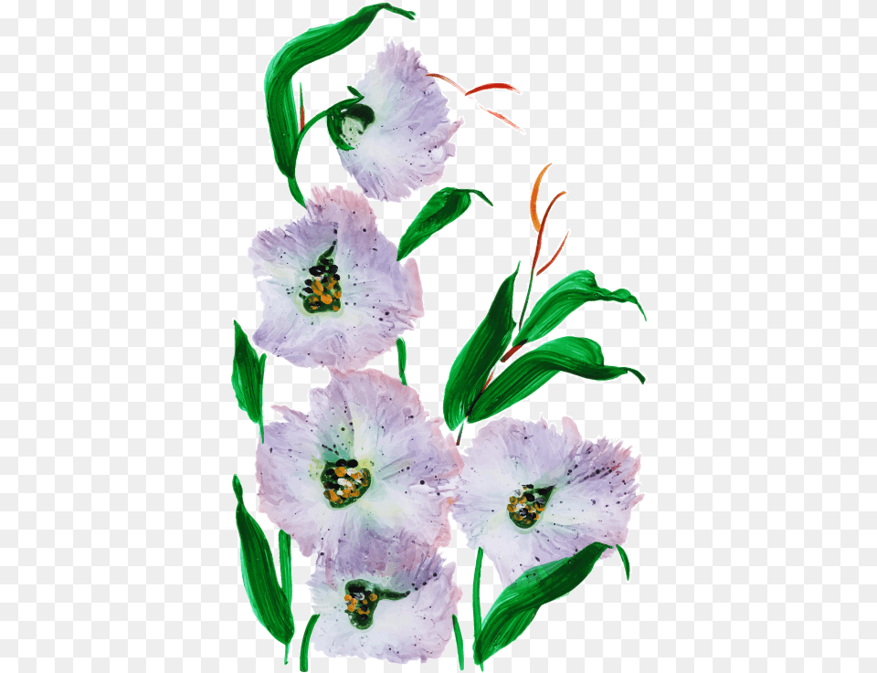 Lily Family, Anther, Flower, Plant, Petal Png