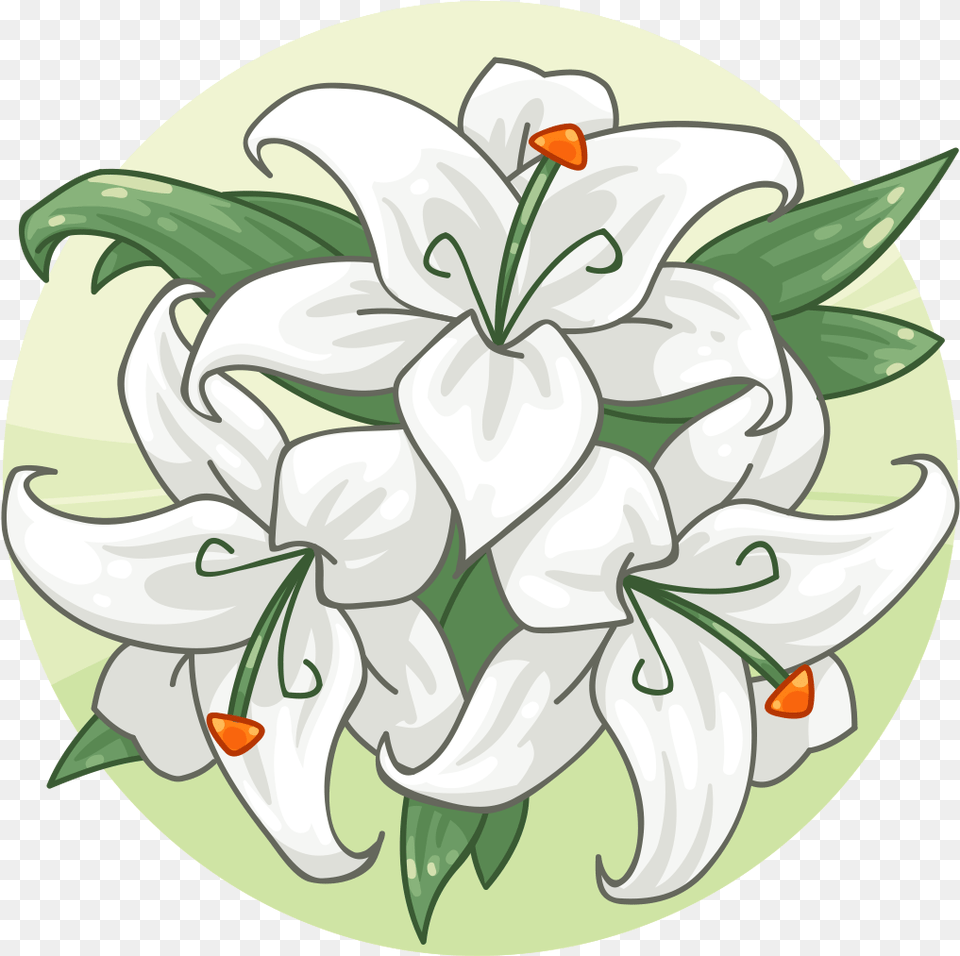 Lily Family, Flower, Plant, Anther, Dynamite Png Image