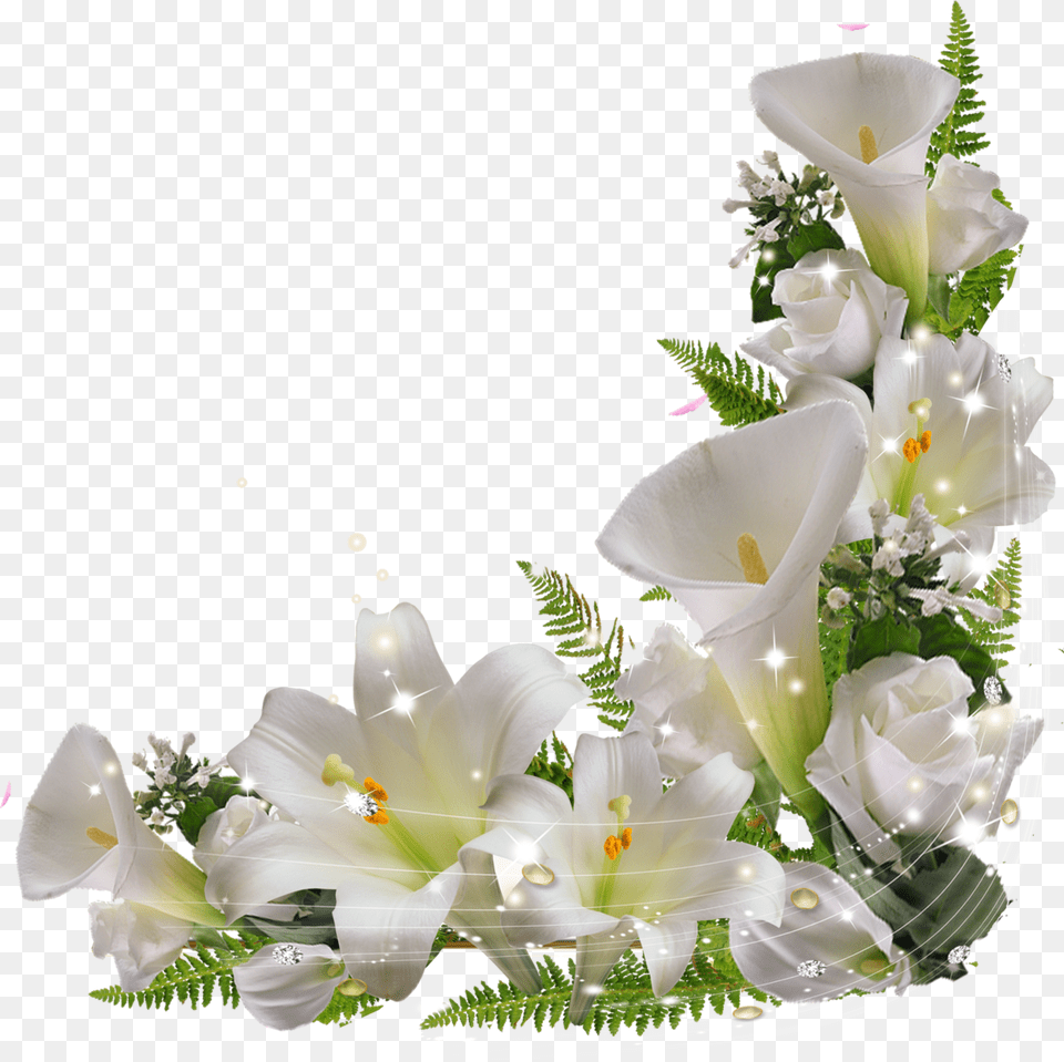 Lily Flower, Flower Arrangement, Flower Bouquet, Plant, Rose Png Image