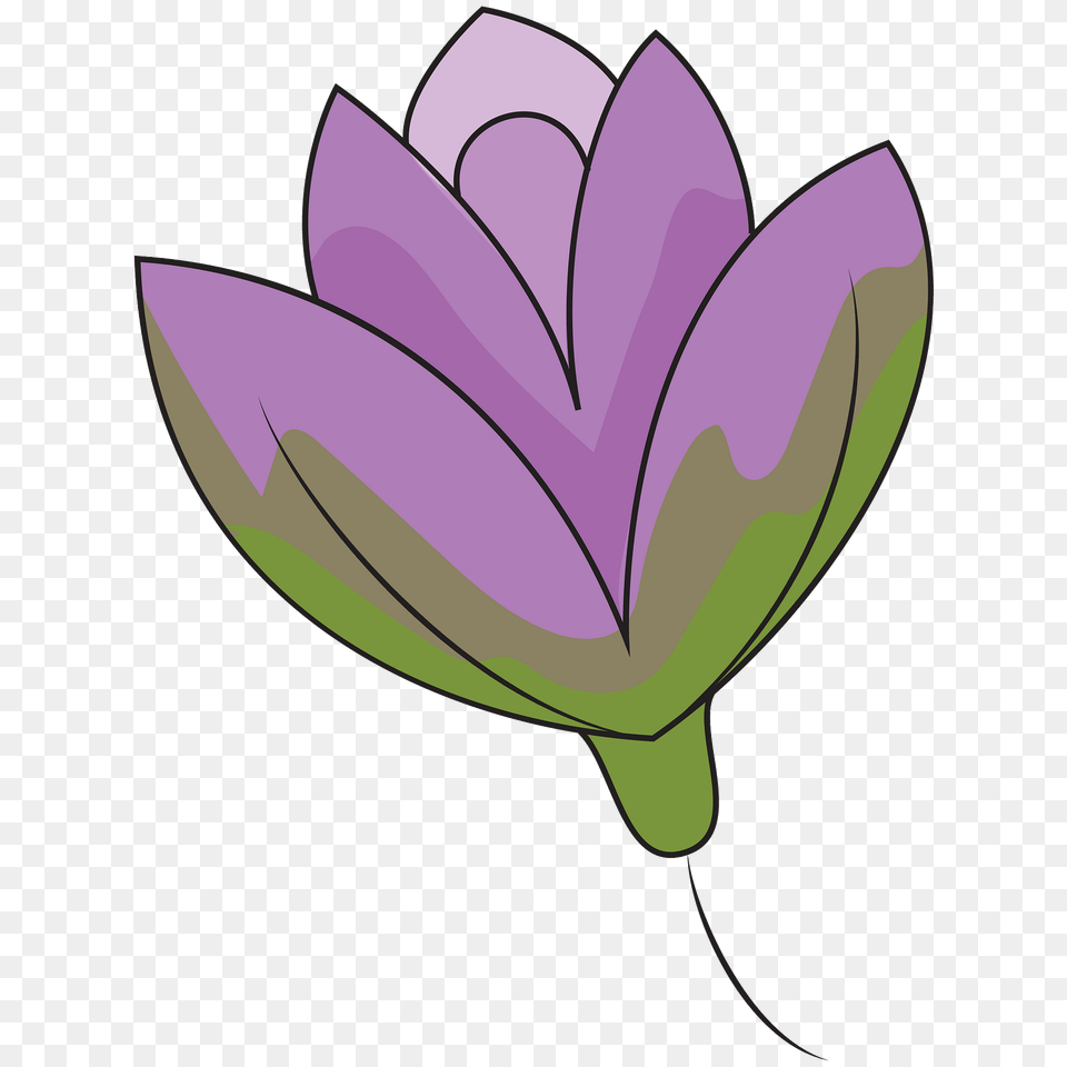 Lily Flower Clipart, Plant, Petal, Animal, Sea Life Png Image