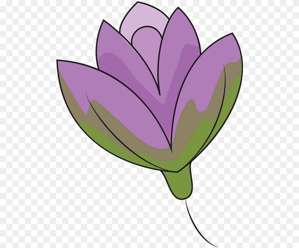 Lily Flower Clipart Download Transparent Creazilla Tulip, Plant, Petal, Crocus, Rose Free Png