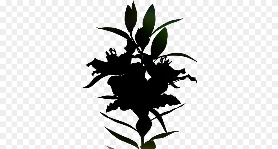 Lily Flower Transparent Images Silhouette, Leaf, Plant Png Image