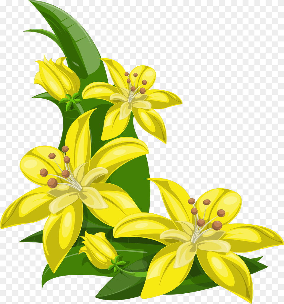 Lily Flowers Clipart At Getdrawings Clipart Yellow Flowers Border, Anther, Flower, Plant Png Image