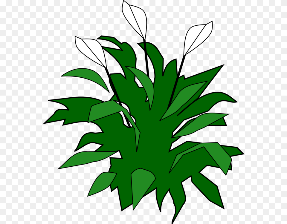 Lily Leaf Flower Computer Icons Download, Vegetation, Green, Plant, Tree Free Transparent Png