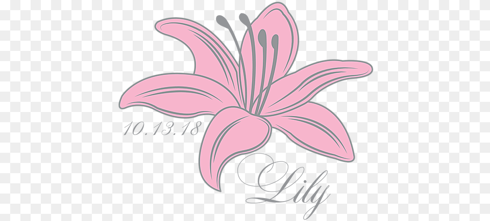 Lily Mitzvah Logo Birthday Logos, Anther, Flower, Plant, Petal Free Png Download