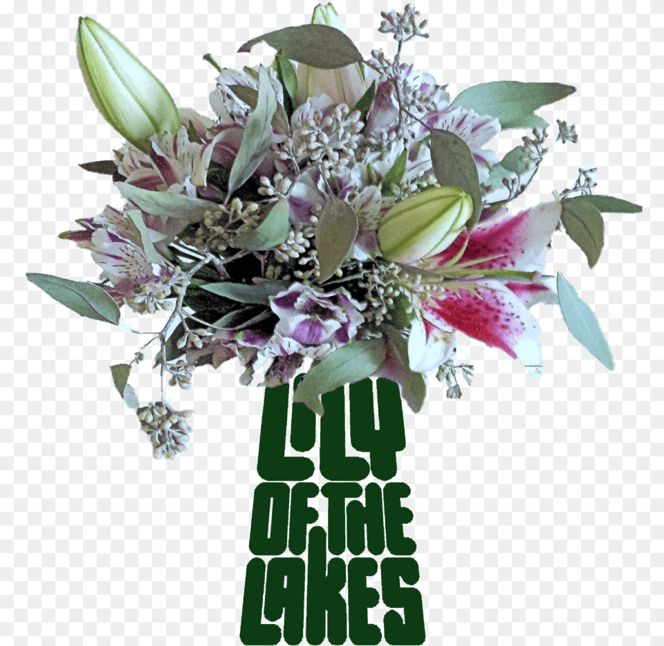 Lily Of The Lakes Transparent, Flower, Flower Arrangement, Flower Bouquet, Plant Free Png