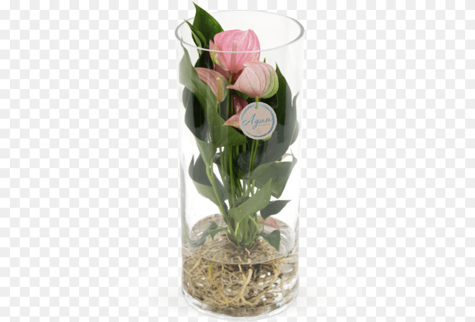 Lily Of The Valley, Flower, Flower Arrangement, Flower Bouquet, Jar Png Image